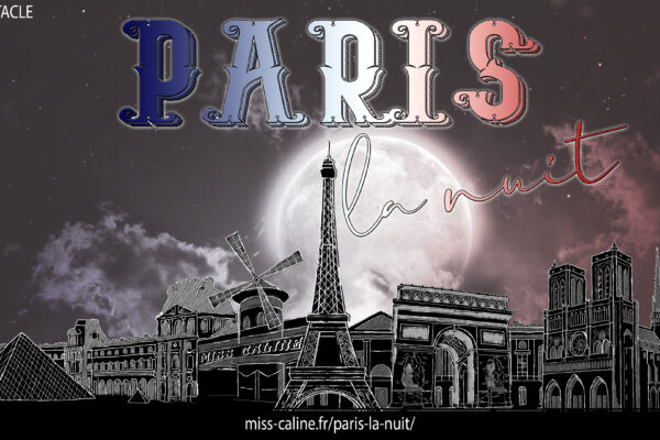 Le logo du spectacle Paris la nuit